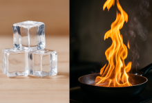 Physical and Chemical Changes