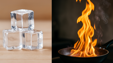 Physical and Chemical Changes