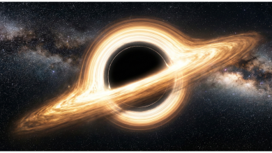 Black Holes Bend Time